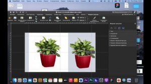 ✅ 3 способа удалить фон у изображения для презентации