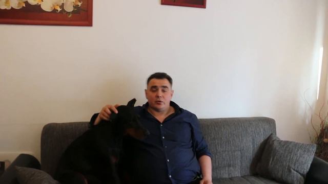 Анонс:Какой бизнес открыть в Германии смотреть онлайн