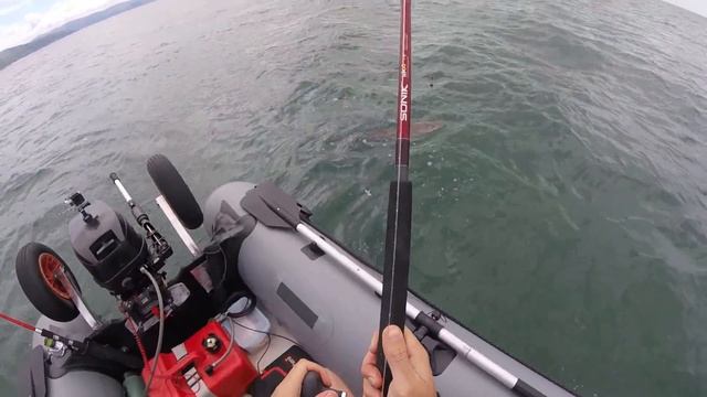 Sea Fishing - Tope fishing from my Seapro Airdeck 3.4m Sib - July 2016 смотреть онлайн