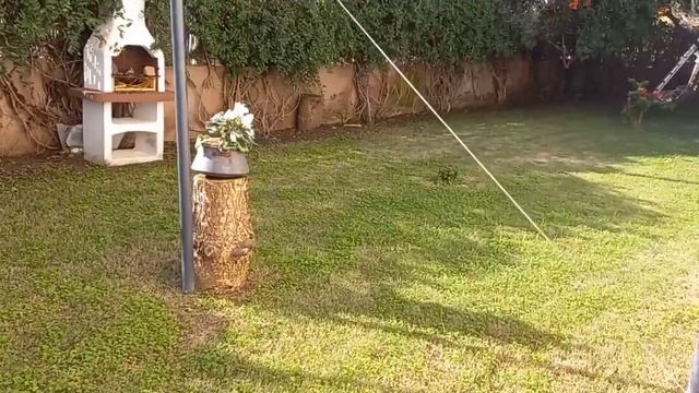 Обзор частного сада. Остров Сардиния, Италия. Sardinia Island, Italy private garden overview. смотреть онлайн