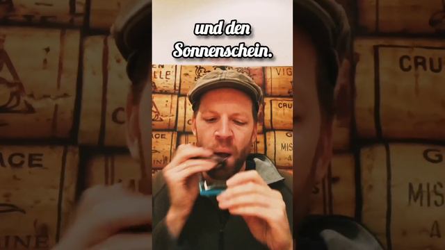 Danke (Für Diesen Guten Morgen) - Mundharmonika (+Tabs) смотреть онлайн