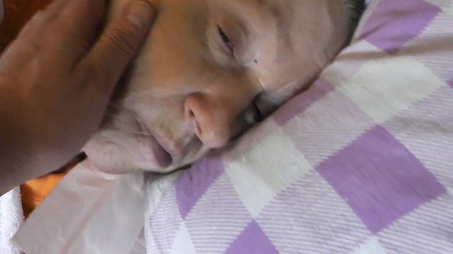 Мама спит, разбудил! Ухаживаю за больной мамой! Болезнь Паркинсона. Лежачий инвалид смотреть онлайн