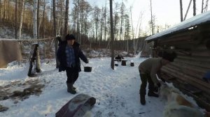 охота с лайками за изюбрем