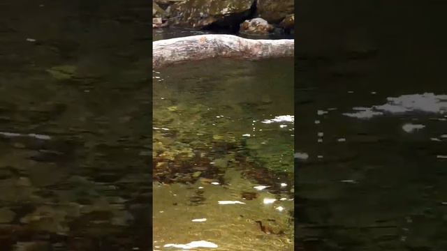 I love the sound of the water смотреть онлайн