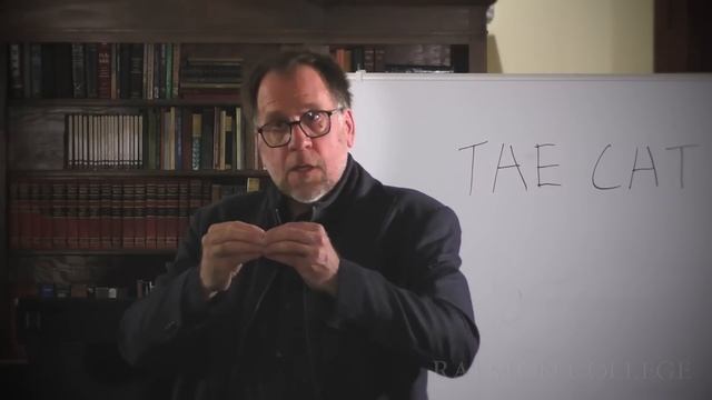 Levels of Intelligibility: Neoplatonism and 4E Cognitive Science смотреть онлайн