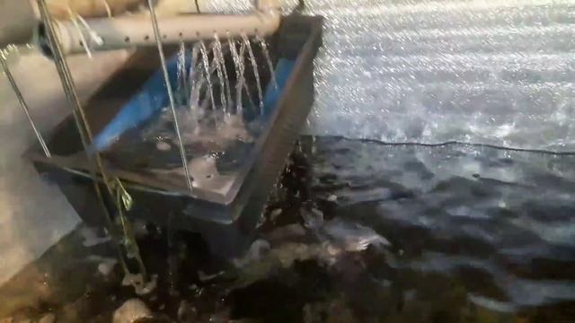 Пересчет сомов. взвешивание. ошибки.обзор на авто кормушку. смотреть онлайн