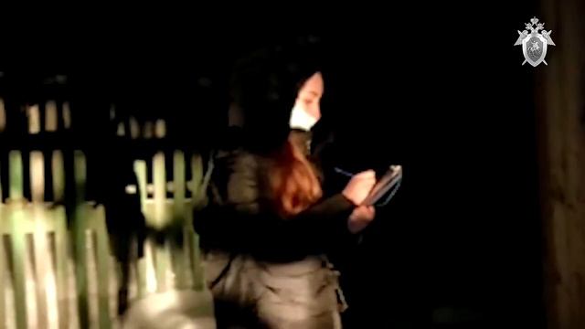 Родителей выгнавших ребенка на 20-градусный мороз арестовали смотреть онлайн