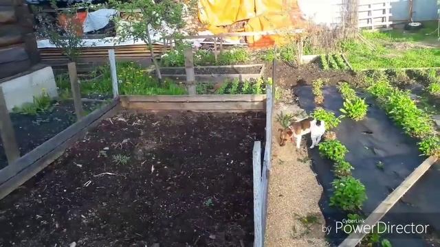 Китайская теплица своими руками! смотреть онлайн
