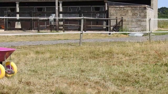 Equestrian Business | Quick Pick Launch It смотреть онлайн