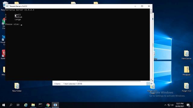 How to make a Terraria Server 2021 смотреть онлайн