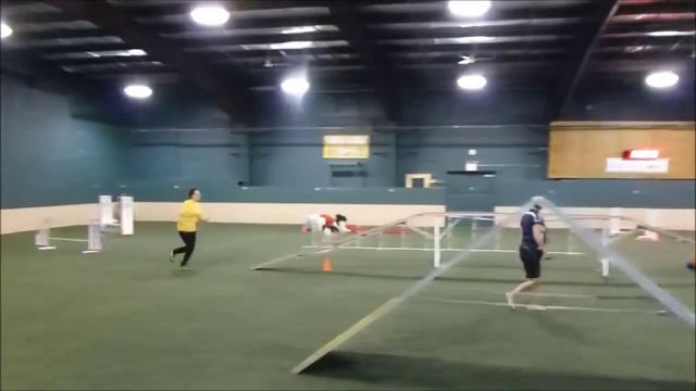 Dash running USDAA Biathlon Standard at Canine Sports Zone, 8/22/15 смотреть онлайн