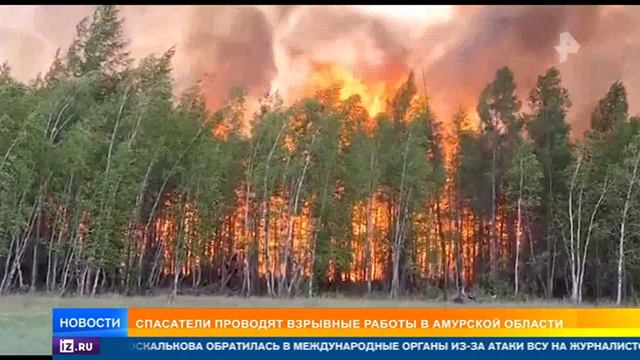 Рен ТВ, 14 июня 2024, Пожарная обстановка на Дальнем Востоке смотреть онлайн