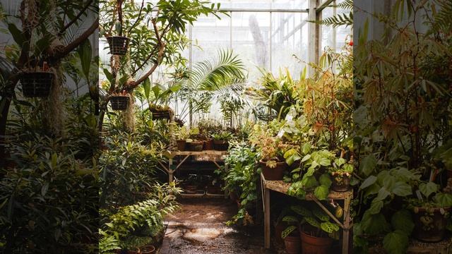 Компьютер смотреть онлайн