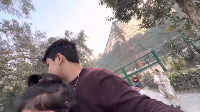 Lahore ke zoom mein camel perl baith Gaye смотреть онлайн