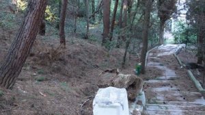 Карабах в Крыму. Никто НЕ ОЖИДАЛ здесь такое увидеть. Бывшее имение Кеппена. Малый Маяк. Крым 2022