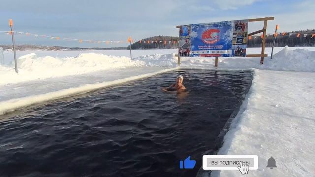 4K Белый медведь вышел искупаться смотреть онлайн