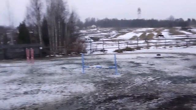 КОНКУРНАЯ тренировка ?|| прыгаем спустя МЕСЯЦ! смотреть онлайн