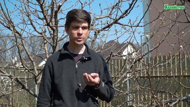 Чем опрыскать деревья весной перед цветением? смотреть онлайн