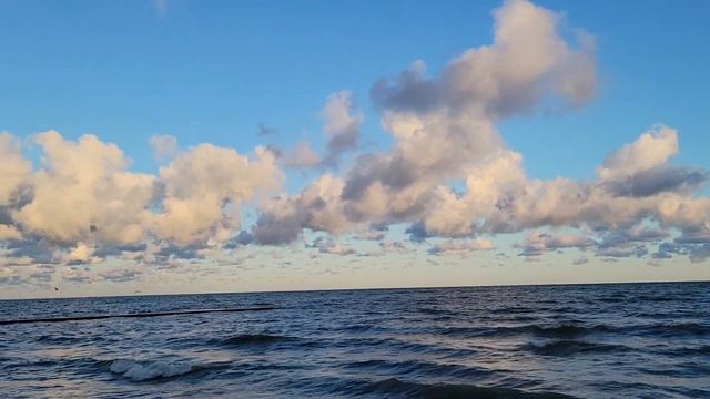 Сегодня утром у озера / This morning by the lake смотреть онлайн