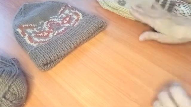 Шапка с диким котом. смотреть онлайн