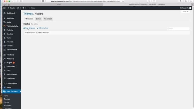 WordPress vertalen met Loco Translate смотреть онлайн