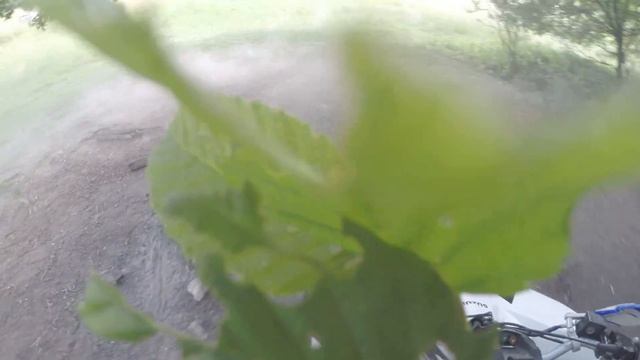 suzuki ltr 450 vs lada 1500 смотреть онлайн