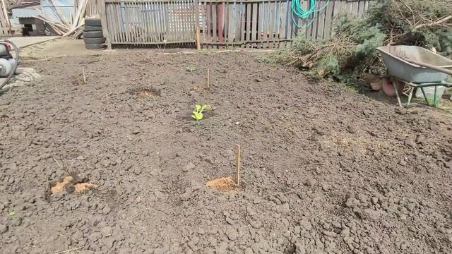 62ч?Водопровод своими руками/Посеяла морковь,свёклу и зелень/У нас град/Рецепт сала в конце ролика смотреть онлайн