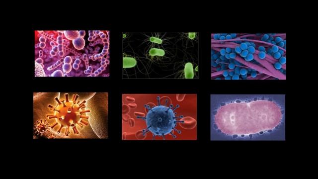 Уход за зубной щеткой. смотреть онлайн