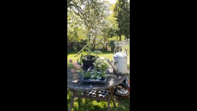 Gardening Week - Hanging Baskets