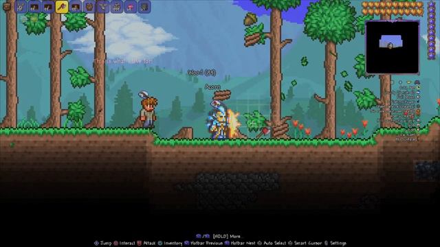 Terraria AIW PS4 1.4.3 - Don't Starve Together Update (HOSTING AIW) #PS4 #PS5 смотреть онлайн