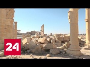 Сирийская Пальмира. Знакомую каждому школьнику Триумфальную арку реставрируют - Россия 24