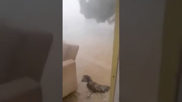 Гроза со шквалом и градом в деревне Караахметли Турция. смотреть онлайн