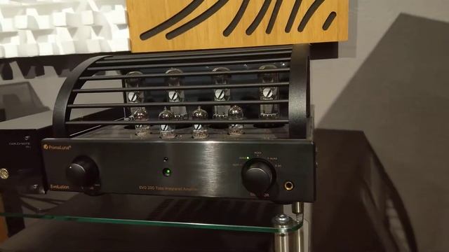 Sonus Faber Sonetto V Playing Some Music