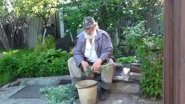 Интересные Факты и Загадки