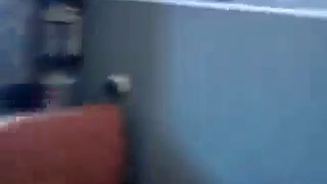 Демон и дэбил смотреть онлайн