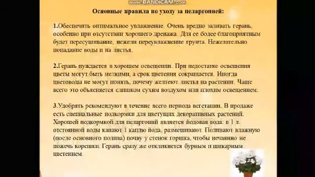 СШИ#1 урок:Цветоводство и декоративоное садоводство учитель:Чердынцева Д.В смотреть онлайн