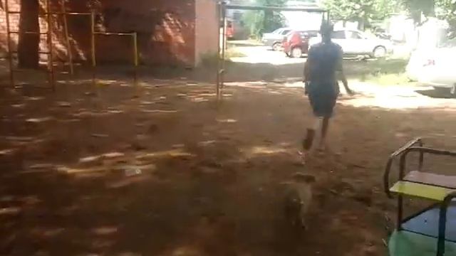 ран Вася ран беги форост беги смотреть онлайн