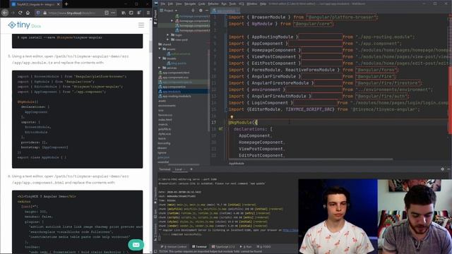 Add HTML Text EDITOR to a WEB APP | Integrating the TinyMCE HTML Editor into an ANGULAR APP смотреть онлайн