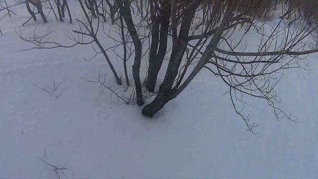 покатушки по лесу и вне его ирбис динго т-150 2014 г.в. (10.01.2016г)лес 2 смотреть онлайн