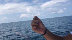 Грузинские Каникулы, Часть 4. Морская рыбалка в Батуми, аренда яхты, рыбный рынок...