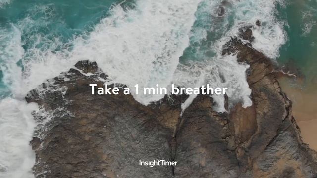 Mindful Presence Practice by Tara Brach | Meditation & Mindfulness | Insight Timer смотреть онлайн