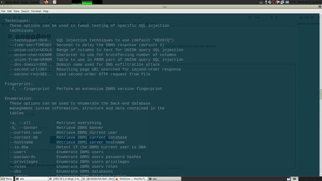 WebGoat SQLInjection Advanced 5 смотреть онлайн