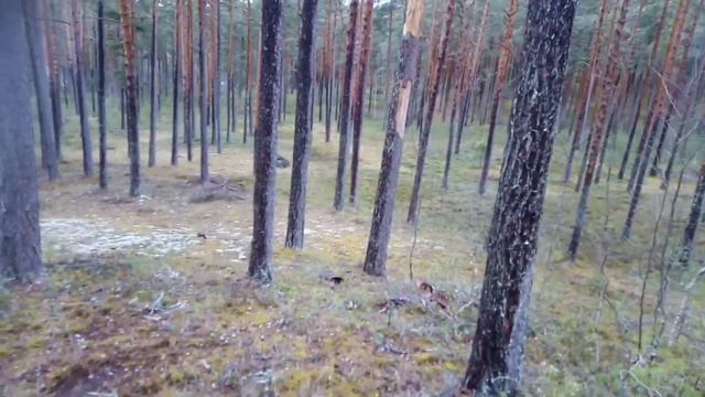 Почему козье молоко полезнее коровьего. смотреть онлайн