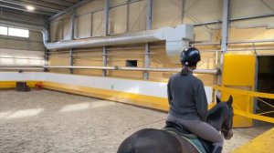 Конный влог? || мое первое занятие, сбылась мечта и настоящие эмоции!!