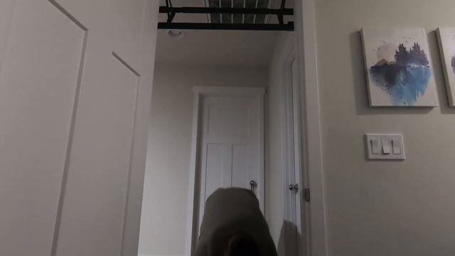 Pull-ups, Mike Robertson смотреть онлайн