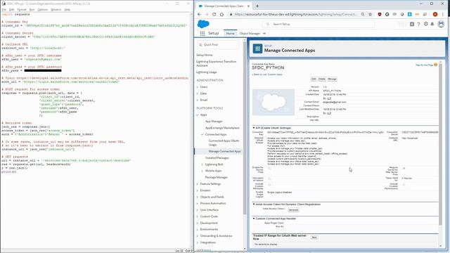 How To Access Salesforce APIs using Python (SFDC Tutorial) смотреть онлайн
