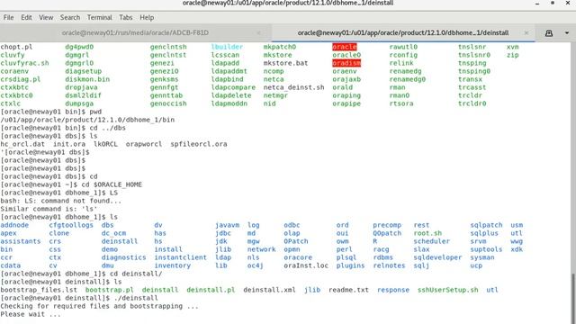 How to Uninstall Oracle Database Software Basics смотреть онлайн