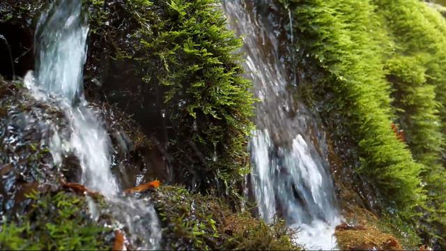 Relaxing Little Waterfall And Moss. Soothing Nature Sounds. (10 Hours 4k). White Noise For Sleeping
