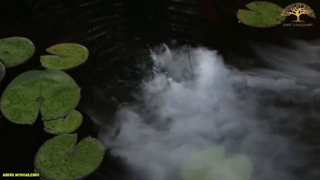 Генератор холодного тумана. Generatore di nebbia fredda. смотреть онлайн