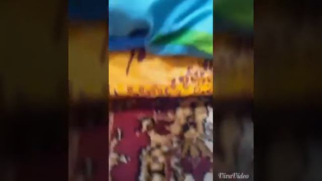 Как обустроить место для собачки смотреть онлайн